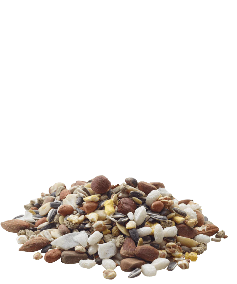 Versele-Laga Nature Snack Nutties Treats - Image 2