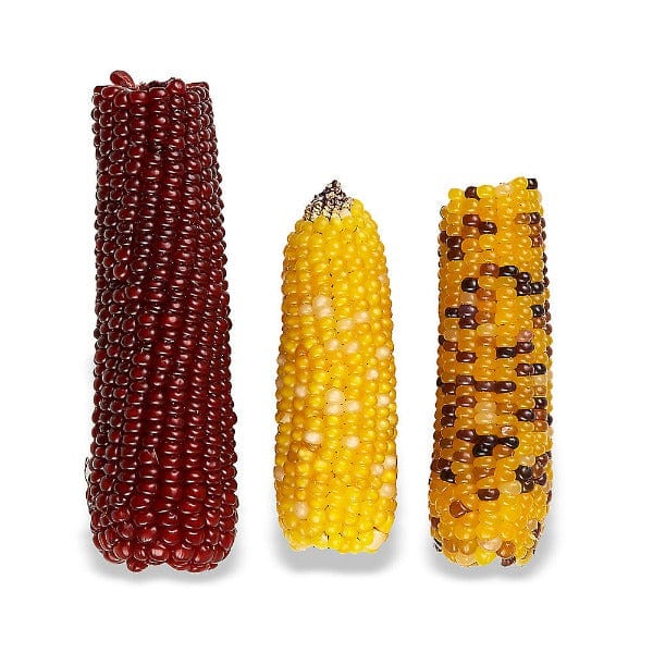Vitakraft Mini-Pop Small Animal Treat - Image 2