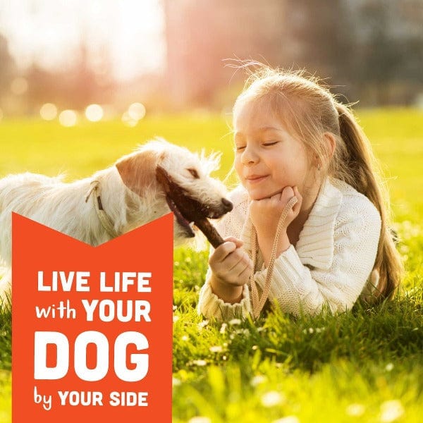 Wag More Bark Less Creamy Peanut Butter Soft & Chewy Dog Treats - Image 5
