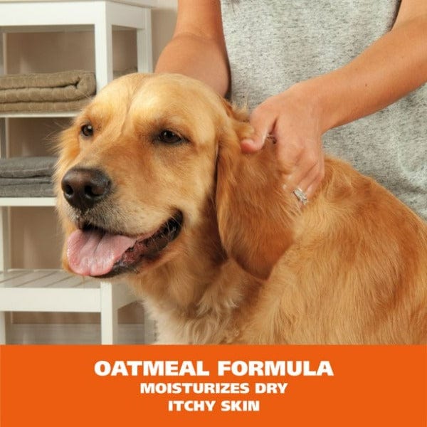 Wahl No Rinse Shampoo For Dogs - Image 5