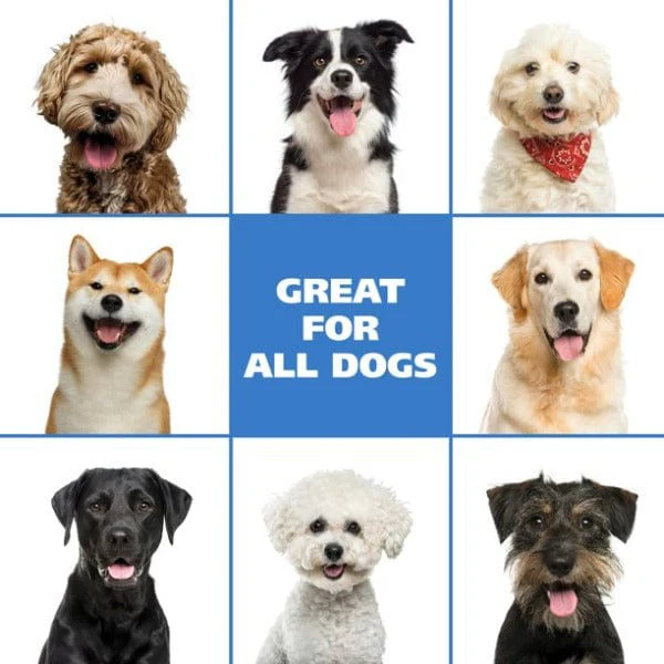 Wahl No Rinse Shampoo For Dogs - Image 7