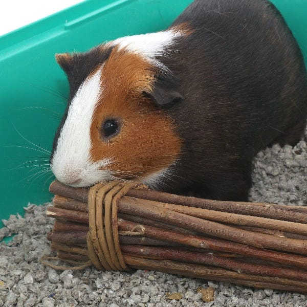 Ware Mega Munch Willow Chew Sticks - Image 2