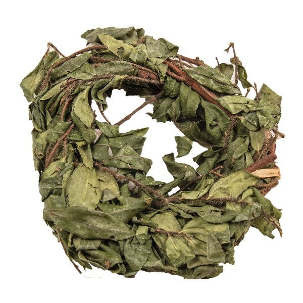 Ware Tea Time Wreath for Small Pets - Image 3