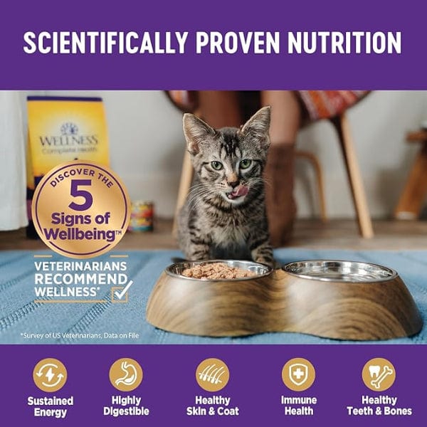 Wellness Complete Health Pate Turkey Dinner Canned Cat Food - Image 3
