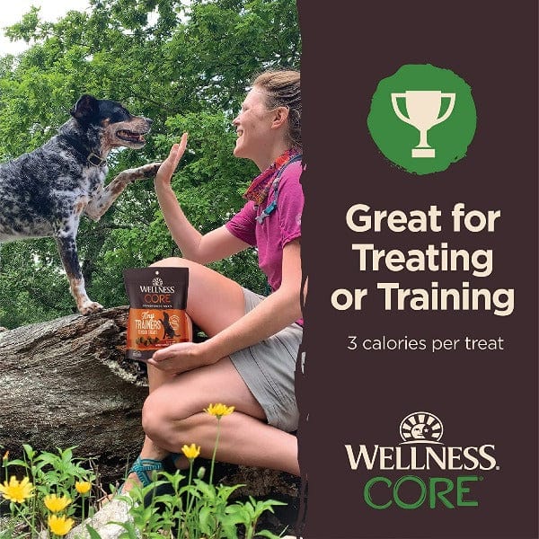 Wellness CORE Tiny Trainers Tender Treats Lamb & Apple Dog Treats - Image 3