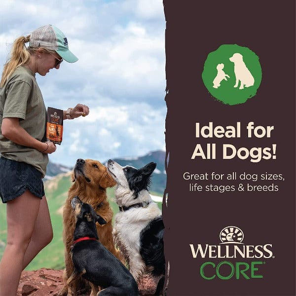Wellness CORE Tiny Trainers Tender Treats Lamb & Apple Dog Treats - Image 5