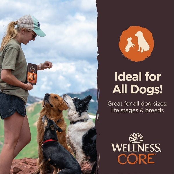 Wellness CORE Tiny Trainers Tender Treats Turkey & Pomegranate Dog Treats - Image 4