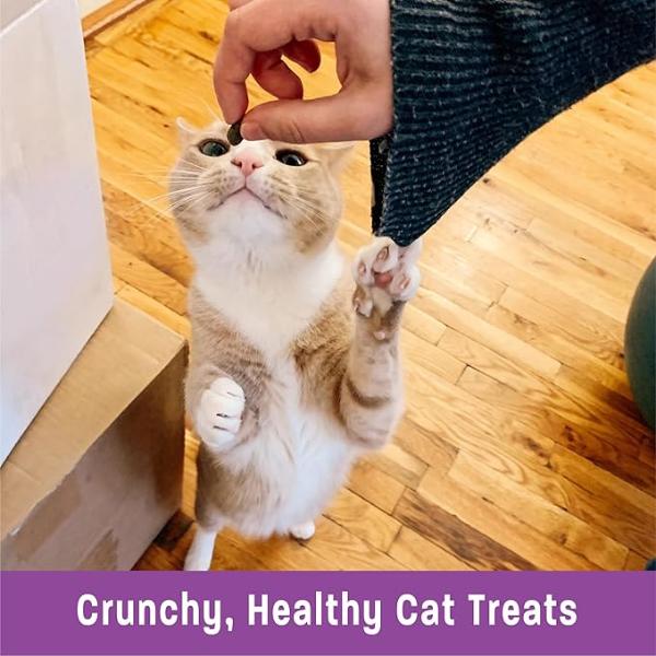 Wellness Kittles Salmon & Cranberries Cat Treats - Image 3