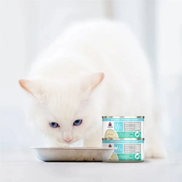 Weruva Wx Phos Focused Tilapia & Chicken In Hydrating Puree Canned Cat Food Supplement, 3oz - Image 6