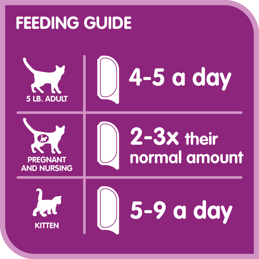 Whiskas Perfect Portions Turkey Pâté Wet Cat Food - Image 3