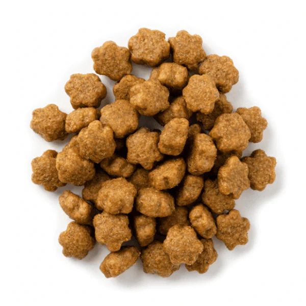 Wildly Natural Salmon Cat Treats - Image 2