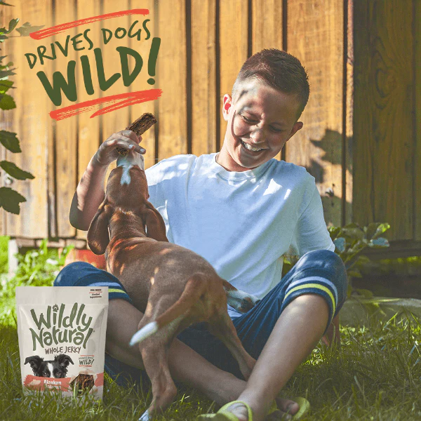 Wildly Natural Whole Jerky Alaskan Salmon Dog Treats - Image 5