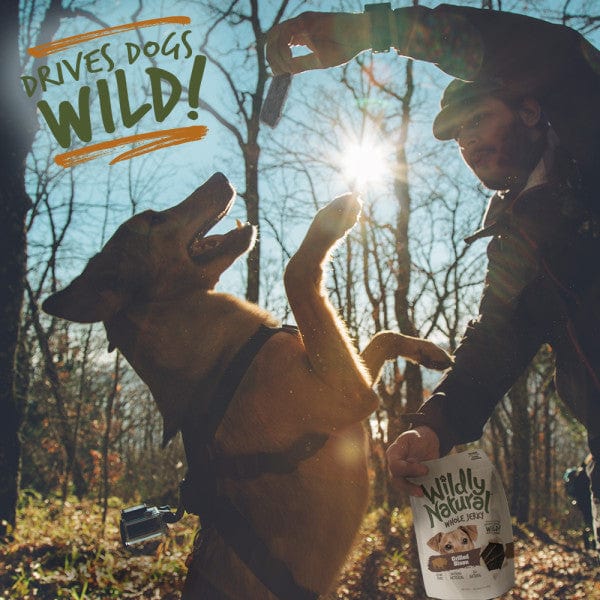 Wildly Natural Whole Jerky Grilled Bison Dog Treats - Image 5
