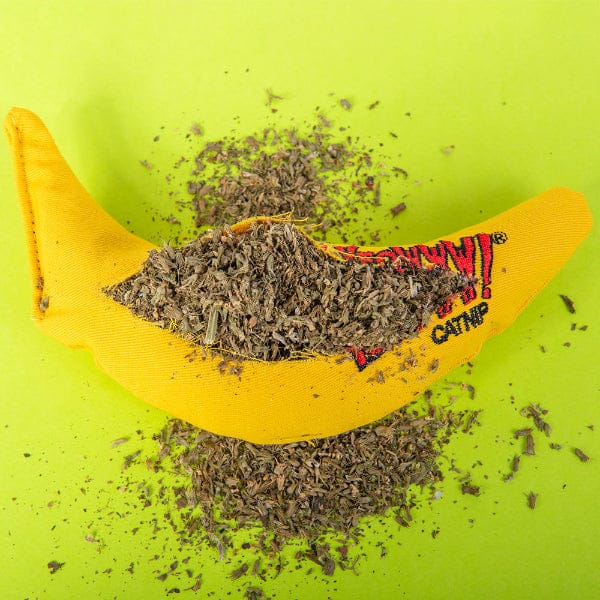 Yeowww! Chi-CAT-a Banana Cat Toy - Image 2