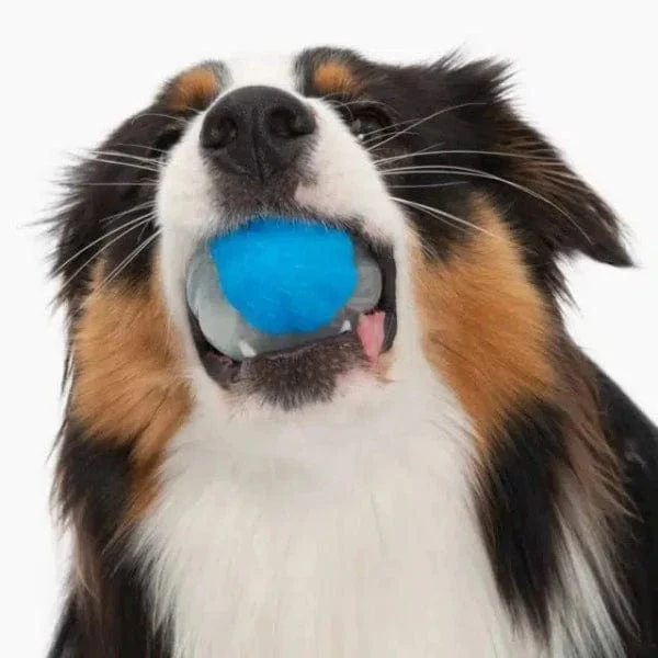 Zeus Duo Ball Toy; Squeaker - Image 3