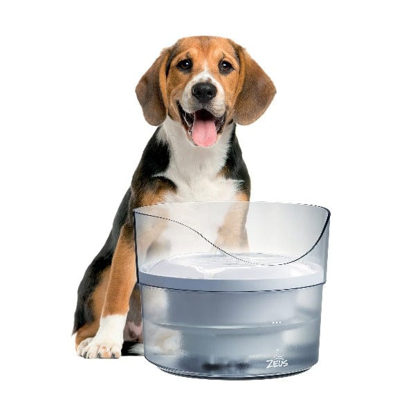 Zeus Fresh & Clear Fountain with Splash Guard - Image 2