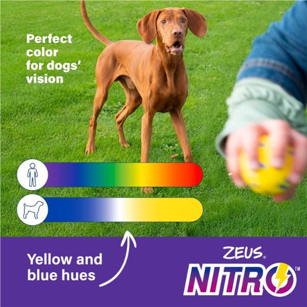 Zeus NITRO Bendy Bone - Image 3