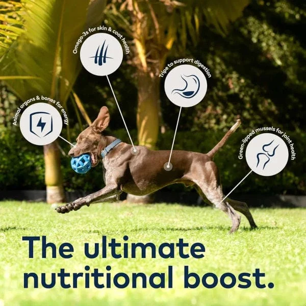 ZIWI Peak Original Series Venison Recipe Canned Dog Food, 6oz - Image 4