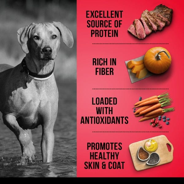 Zoë Dog Grain Free Beef with Peas & Pumpkin Dry Dog Food - Image 2