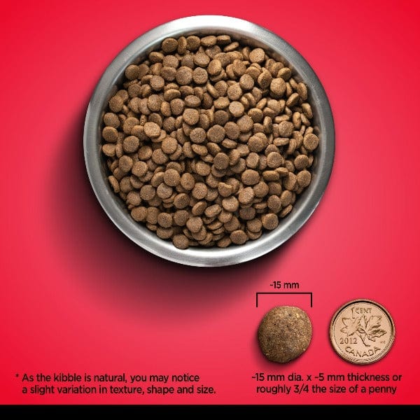 Zoë Dog Grain Free Beef with Peas & Pumpkin Dry Dog Food - Image 3