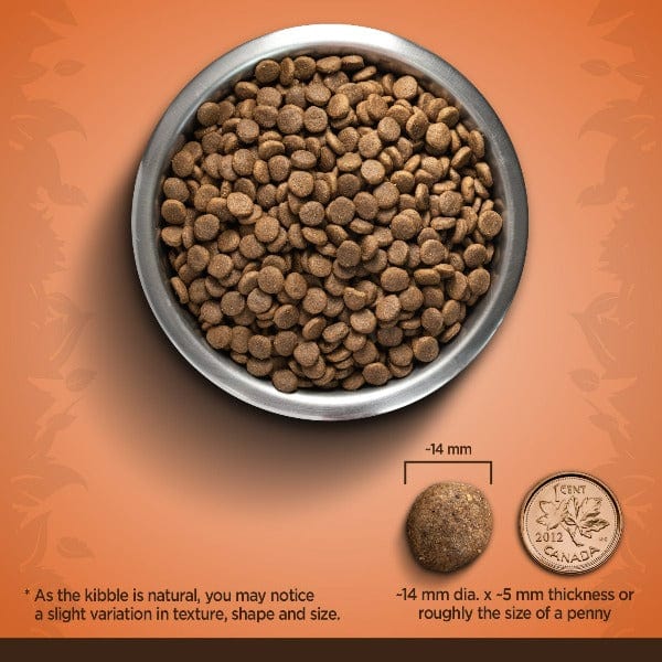Zoë Dog Medium Breed Turkey, Chickpea & Sweet Potato Dry Dog Food, 5kg - Image 3