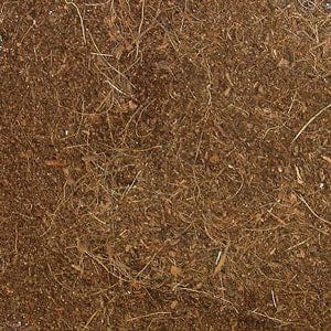 Zoo Med Eco Earth Coconut Fiber Substrate - Image 2