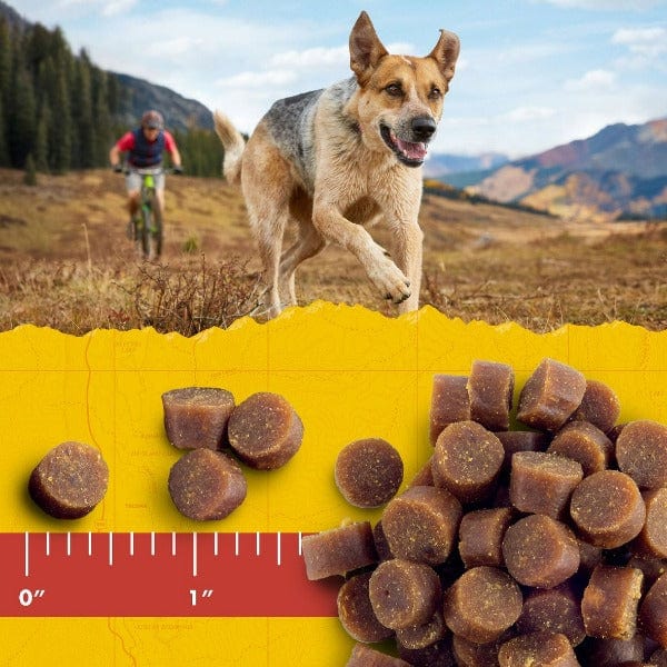 Zuke's Mini Naturals Peanut Butter & Oats Recipe Dog Treats - Image 3