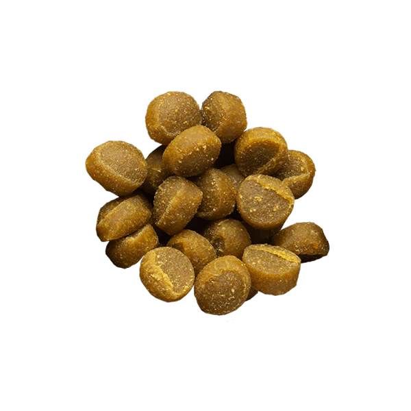 Zuke's Mini Naturals Salmon Recipe Dog Treats - Image 2